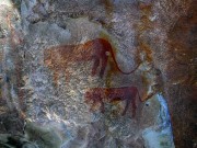 Наскальные рисунки кроманьонцев помогли доказать существование «бизона Хиггса» Наскальные рисунки кроманьонцев помогли доказать существование «бизона Хиггса»