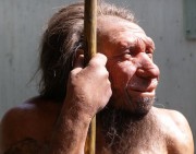 Найдены ДНК неизвестных древних жителей Земли Найдены ДНК неизвестных древних жителей Земли