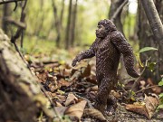 В ДНК современных людей остается все меньше генов неандертальцев В ДНК современных людей остается все меньше генов неандертальцев