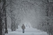 На Земле начался новый Ледниковый период На Земле начался новый Ледниковый период