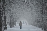 На Земле начался новый Ледниковый период