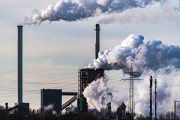 Названо число животных, пострадавших в результате антропогенной деятельности человека Названо число животных, пострадавших в результате антропогенной деятельности человека