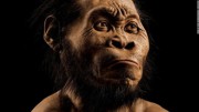 В ЮАР ученые нашли кладбище таинственных Homo Naledi В ЮАР ученые нашли кладбище таинственных Homo Naledi