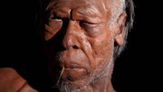 В Марокко найдены древнейшие останки Homo sapiens В Марокко найдены древнейшие останки Homo sapiens