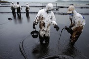 Ликвидация разливов нефти Ликвидация разливов нефти