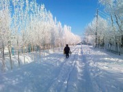 Названа причина аномальных холодов в Москве Названа причина аномальных холодов в Москве