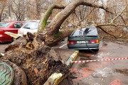 Ураган в Москве унёс жизни двух человек Ураган в Москве унёс жизни двух человек
