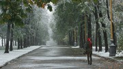 Бабье лето подходит к концу – в Россию идут холода Бабье лето подходит к концу – в Россию идут холода