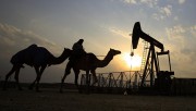 Причины по которым цены на нефть резко пошли вниз Причины по которым цены на нефть резко пошли вниз