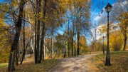 В Москву возвращается тепло