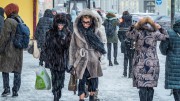 Москву накрывают лютые морозы Москву накрывают лютые морозы