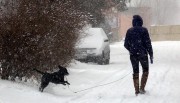 На выходные москвичей засыплет снегом На выходные москвичей засыплет снегом