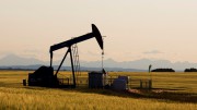 Нефть дорожает после падения накануне Нефть дорожает после падения накануне