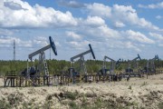 Спрос на нефть резко упадет после 2040 года Спрос на нефть резко упадет после 2040 года