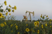 Нефть снова пошла в гору Нефть снова пошла в гору